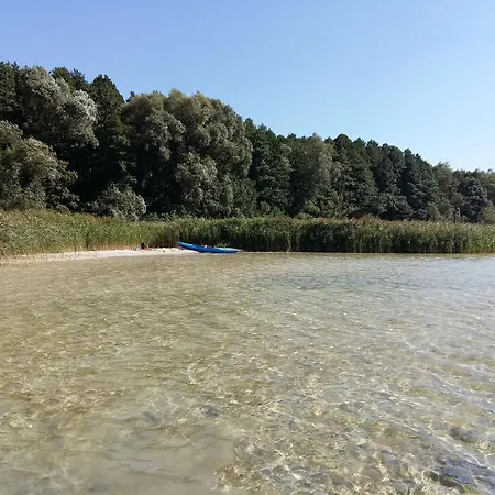 Marzen Powidz *