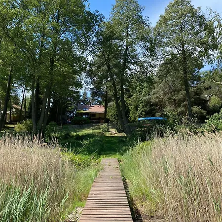 Marzen Powidz *